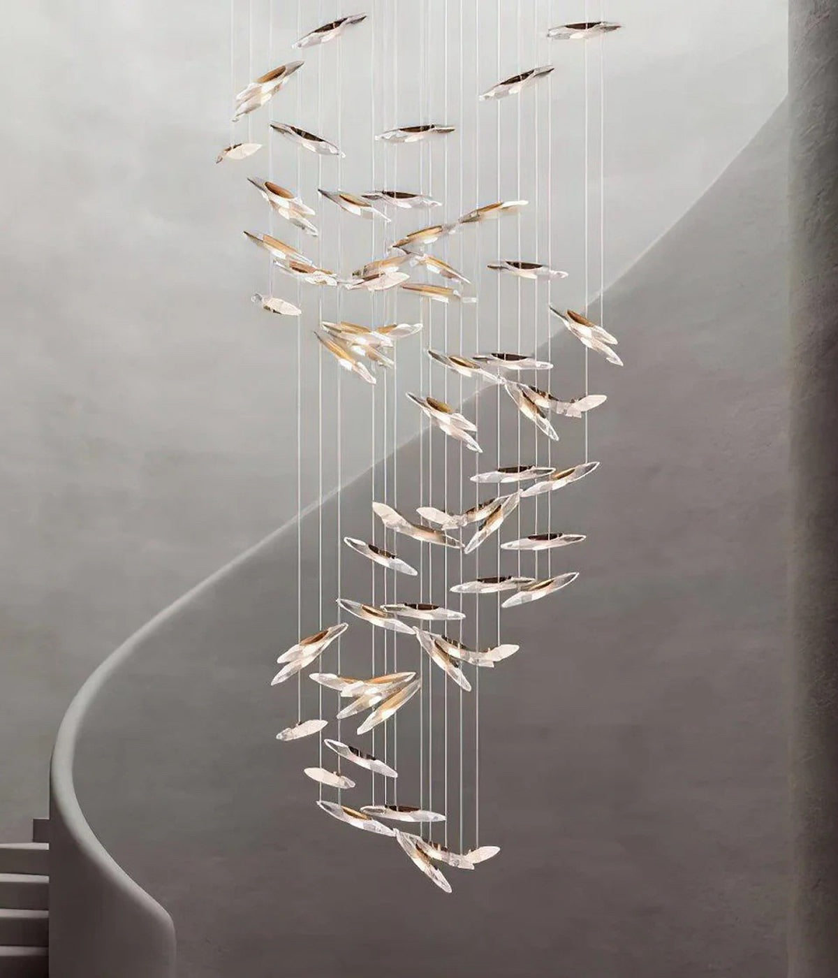 School of Fish