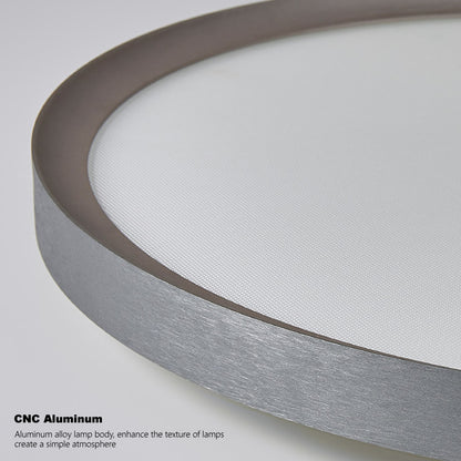 Sleek Disc Light